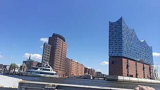 image-1196
