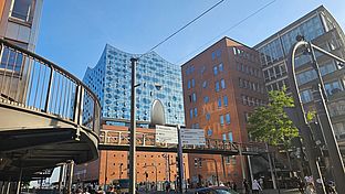 image-1302