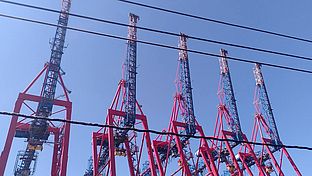 image-1311