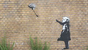 image-1198