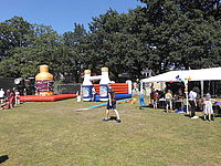 image-241
